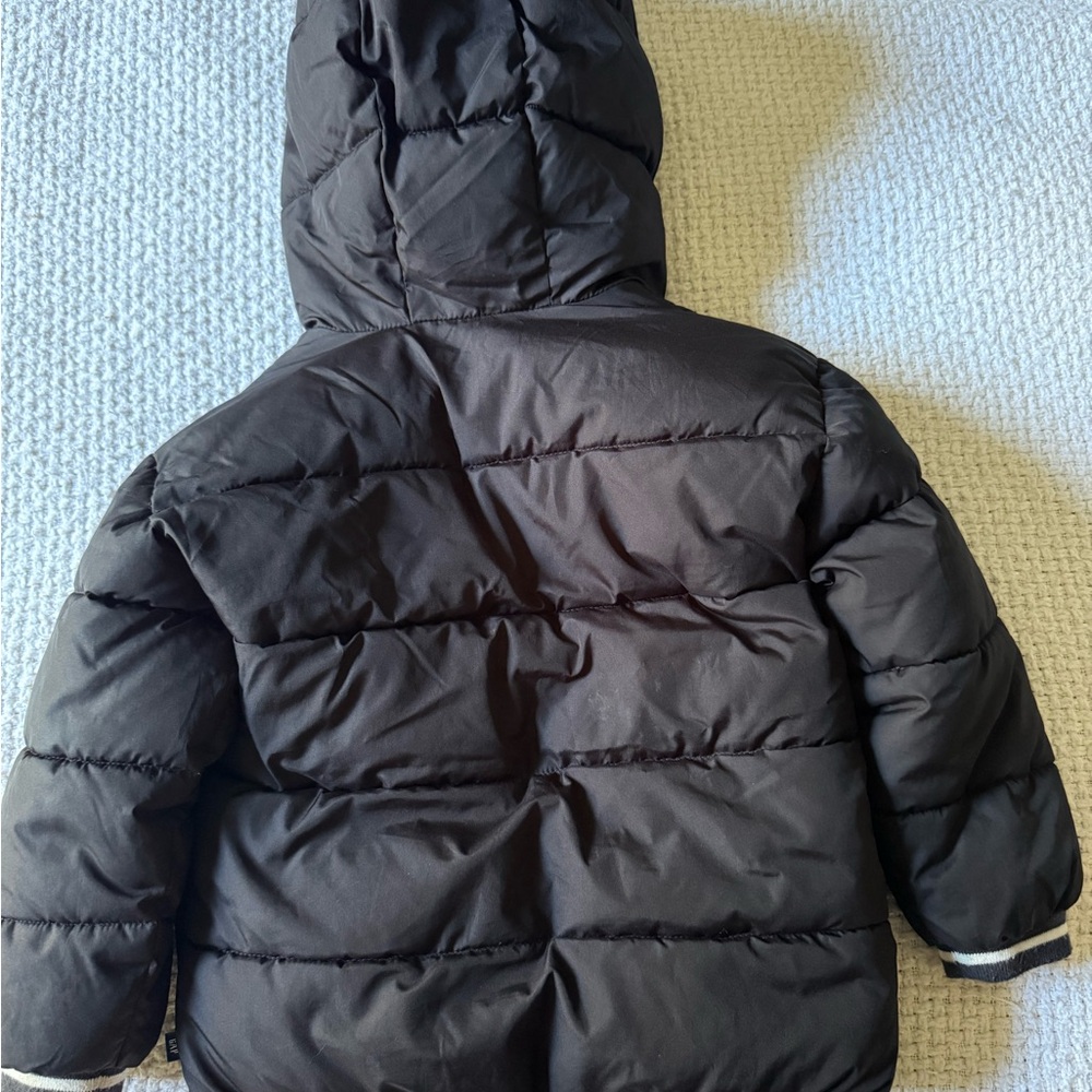 GAP Boys Black Puffer Jacket with Hood